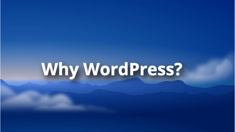 Why wordpress