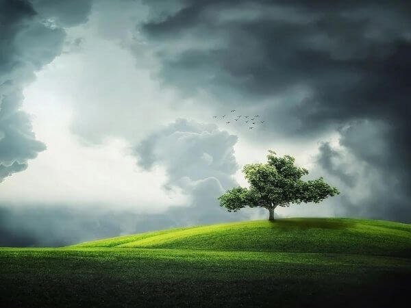 lifetime deals ever green