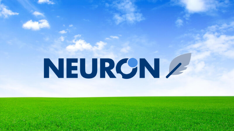 Neuronwriter sky top soft